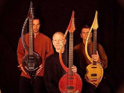 Electric Harp Guitar Group