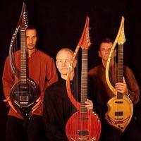 Electric Harp Guitar Group